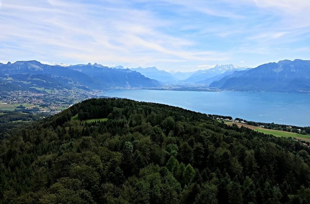 The Bastards of Mont Pèlerin