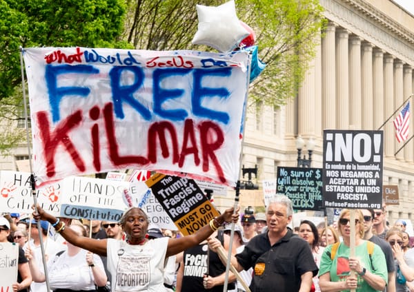 The Opposition Report #8